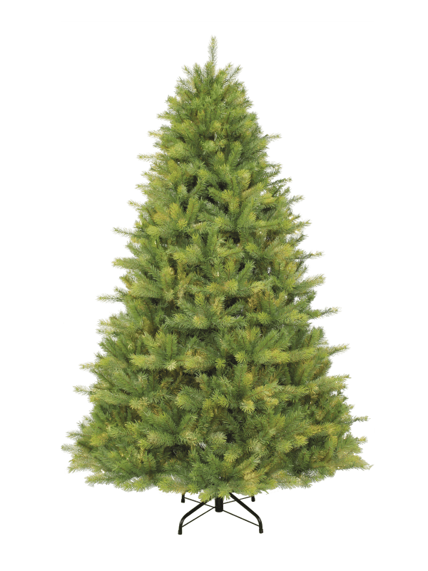 Festive - Kensington fir tree - 210cm