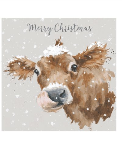 Wrendale Christmas card set - cow