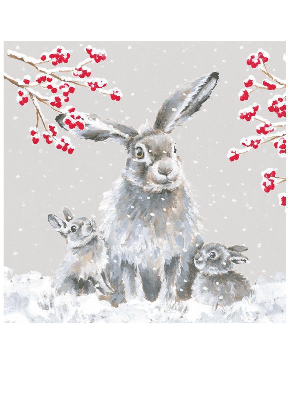 Wrendale christmas card set - rabbits