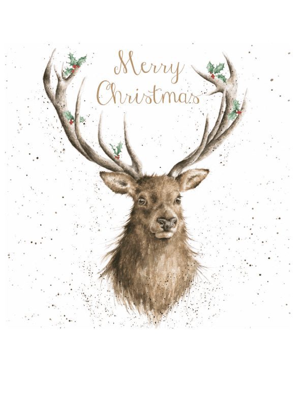 Wrendalke Christmas card set - stag
