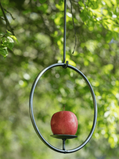 Garden Trading Circular Bird Feeder with apple in the centre in the garden