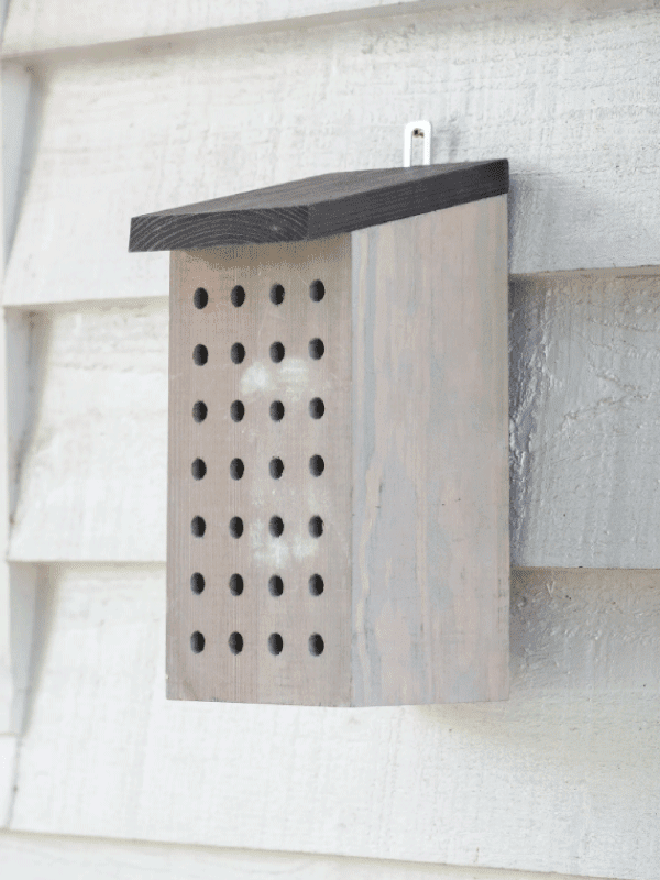 Garden Trading Rectangular Bee House on a white shiplap shed