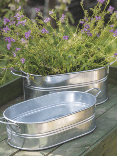 Steel plant trough in a garden setting