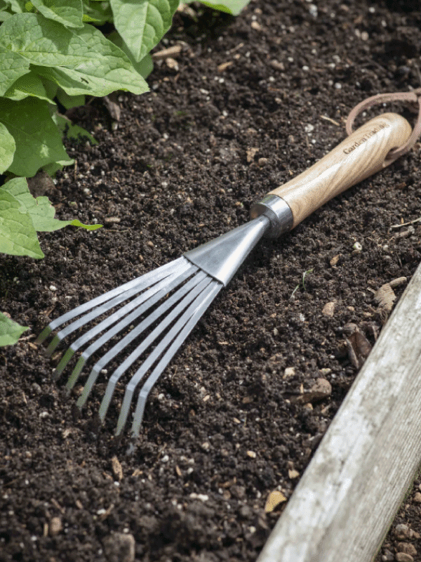 Garden Trading Hand Rake in a bed of soil