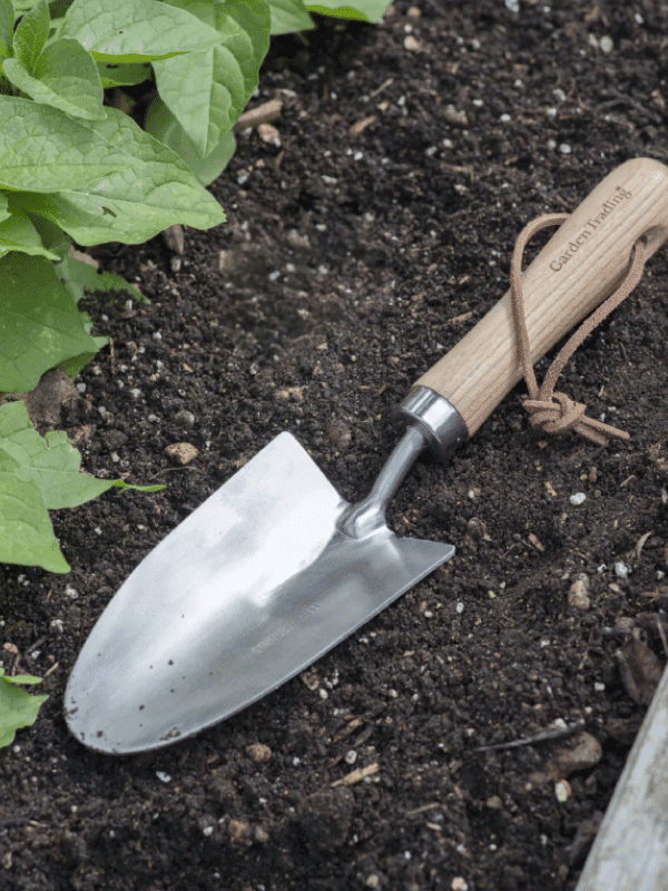 Garden Trading Hand Trowel lying in garden soil