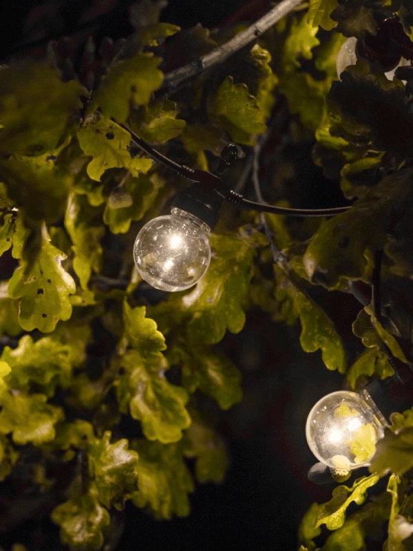 Garden Trading Outdoor golf ball lights hanging in a garden tree
