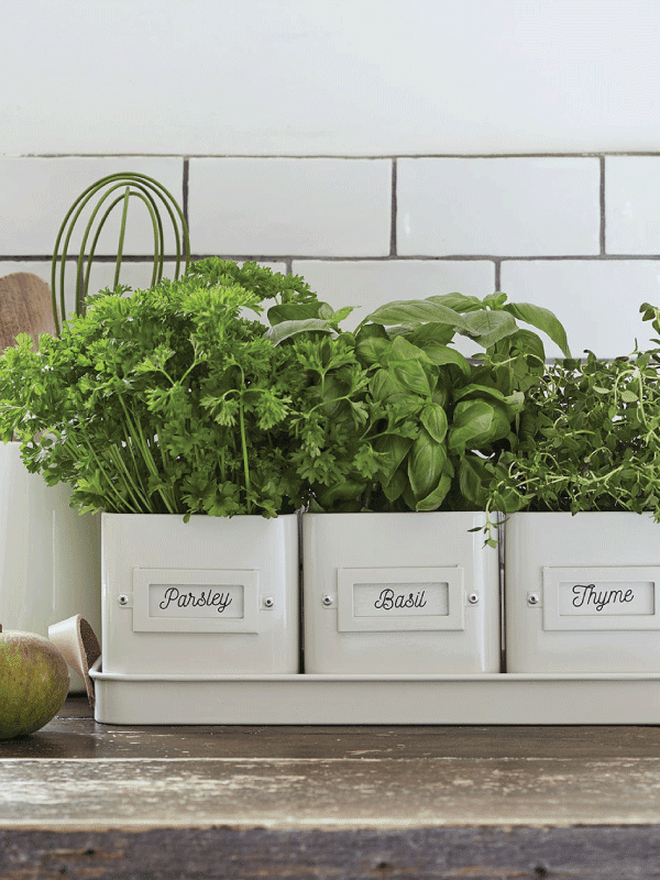 Burgon & Ball Herb Pots Stone