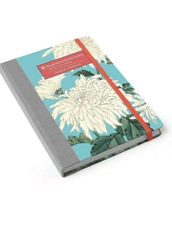 Burgon & Ball RHS gardening notebook with Chrysanthemum print and red page holder