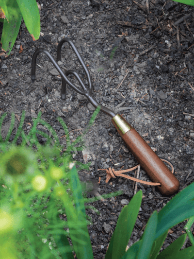 Burgon & Ball National Trust claw cultivator dug into the soil in a garden