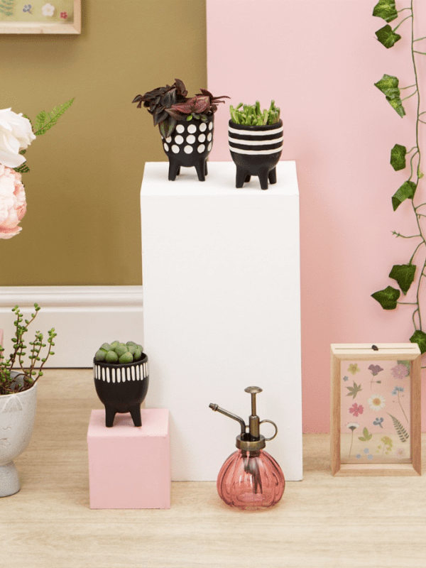 3 black planters on a wooden plinth