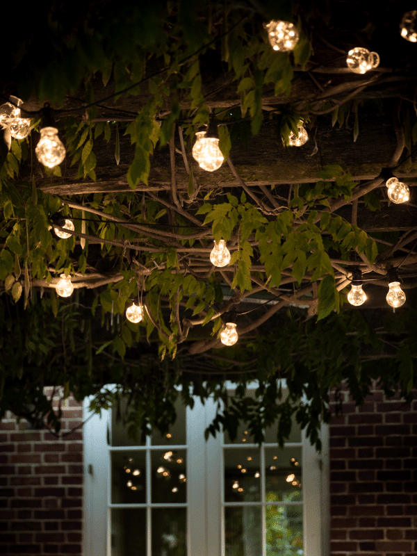 Bulb style lights hanging in a tree in a garden