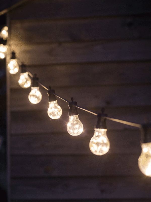 outdoor bulb lights on a rope in a garden