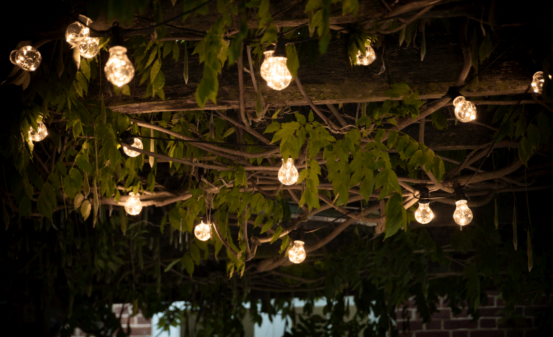 Light bulb festoons hanging from a garden trellis roof