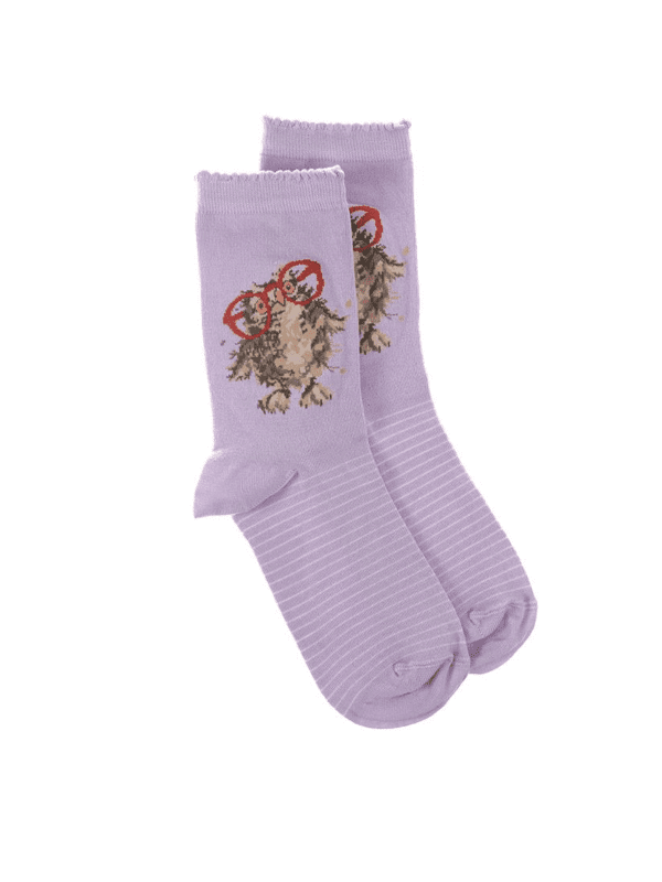 wrendale owl socks