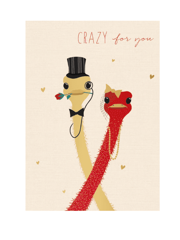the art file - ostriches valentines card