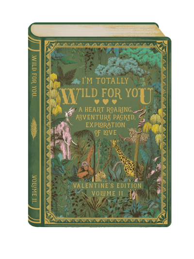 the art file - totally wild about you - story book valentines card