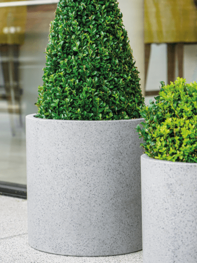 large cylindrical outdoor planters