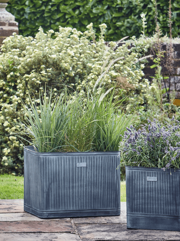 galvanised metal square outdoor planters