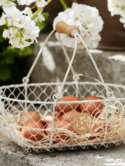 Sophie Conran Harvesting Basket - Small