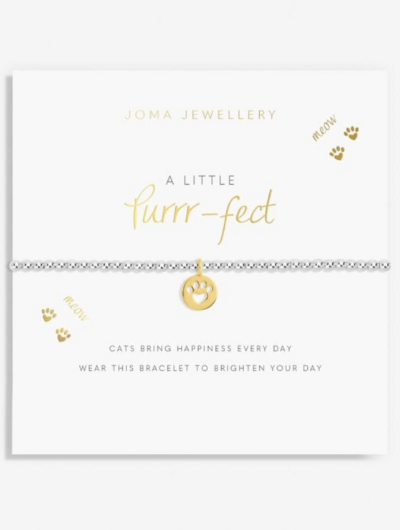 Joma Jewellery A Little Purrrfect silver and gold plated bracelet with cat charm on sentiment card.