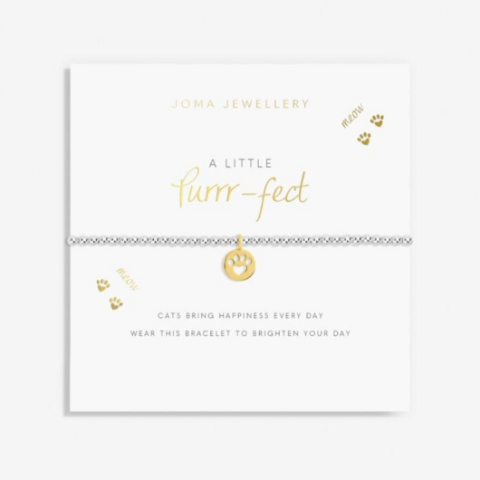 Joma Jewellery A Little Purrrfect silver and gold plated bracelet with cat charm on sentiment card.