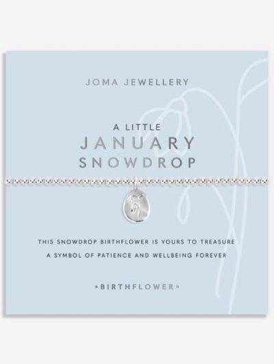 Joma Jewellery Birth Flower January Snowdrop silver-plated bracelet with engraved oval charm on pastel sentiment card.