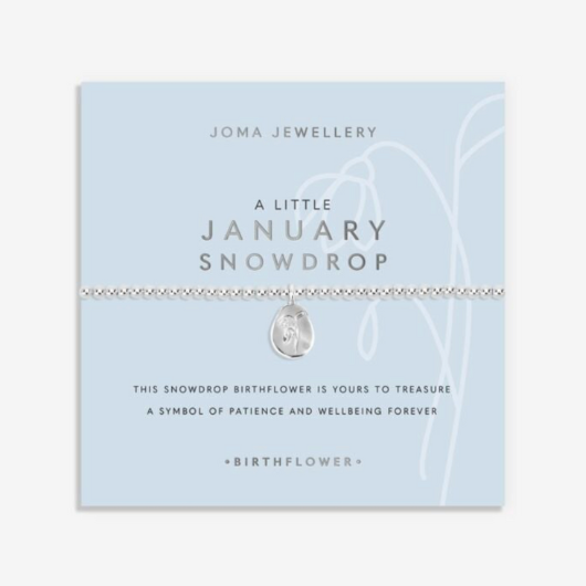 Joma Jewellery Birth Flower January Snowdrop silver-plated bracelet with engraved oval charm on pastel sentiment card.