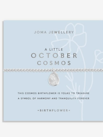 Joma Jewellery Birth Flower October Cosmos silver-plated bracelet with engraved oval charm on pastel sentiment card.