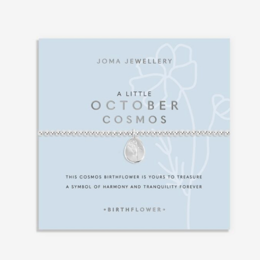 Joma Jewellery Birth Flower October Cosmos silver-plated bracelet with engraved oval charm on pastel sentiment card.