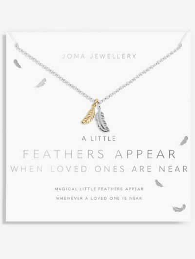 Joma Jewellery A Little Feathers Appear silver and gold plated necklace with feather charm on sentiment card.