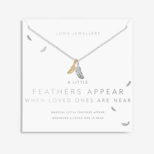 Joma Jewellery A Little Feathers Appear silver and gold plated necklace with feather charm on sentiment card.