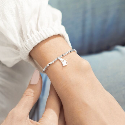 A Little Life Is Better With Cats bracelet with silver cat charm on sentiment card.