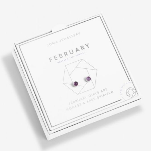 February Birthstone Earrings – silver-plated design with Amethyst stones in white gift box.