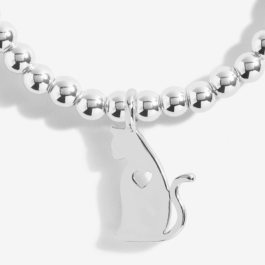 A Little Life Is Better With Cats bracelet with silver cat charm on sentiment card.