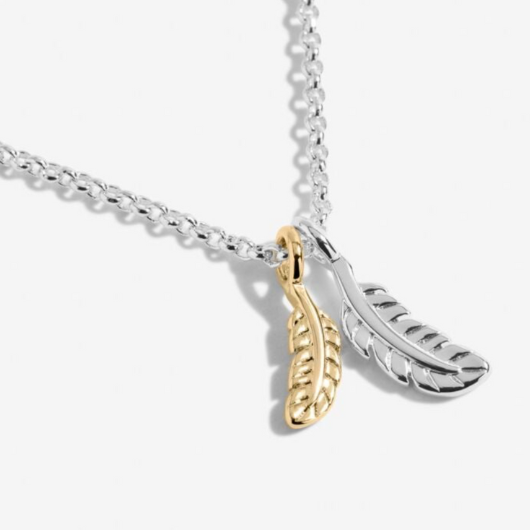 Joma Jewellery A Little Feathers Appear silver and gold plated necklace with feather charm on sentiment card.