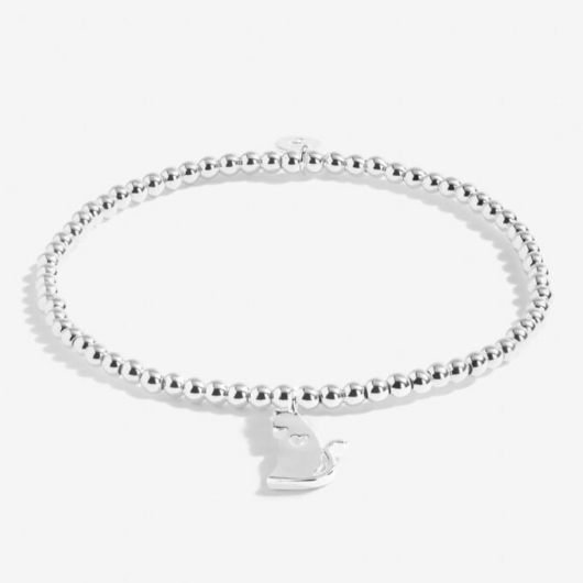 A Little Life Is Better With Cats bracelet with silver cat charm on sentiment card.