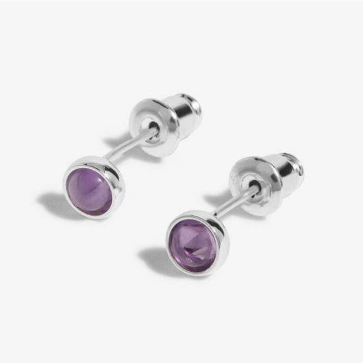 February Birthstone Earrings – silver-plated design with Amethyst stones in white gift box.