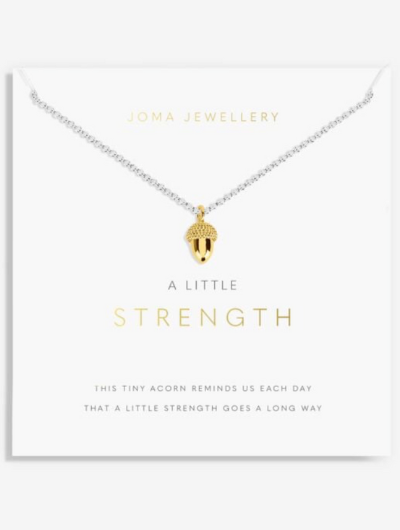 Joma Jewellery A Little Strength silver and gold plated necklace with acorn charm on sentiment card.