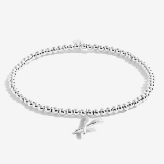 Joma Jewellery A Little Fabulous Foodie silver-plated bracelet with foodie charm on sentiment card.