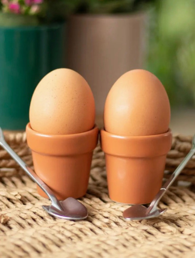 Plant pot egg cup set with two mini ceramic plant pot-shaped egg cups and matching shovel spoons. A quirky garden-inspired breakfast set, ideal for gifting.