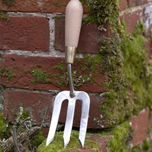 Sophie Conran stainless steel garden hand fork with FSC beech wood handle and brass ferrule in presentation gift box.