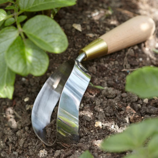 Sophie Conran stainless steel Ergo Hoe with FSC beech wood handle and brass ferrule in presentation gift box.
