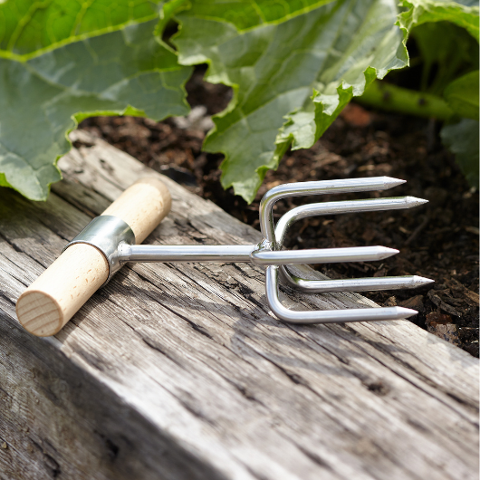 Sophie Conran stainless steel twist cultivator with FSC beech wood handle and brass ferrule in presentation gift box.