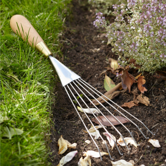 Sophie Conran stainless steel hand rake with FSC beech wood handle and brass ferrule in presentation gift box.