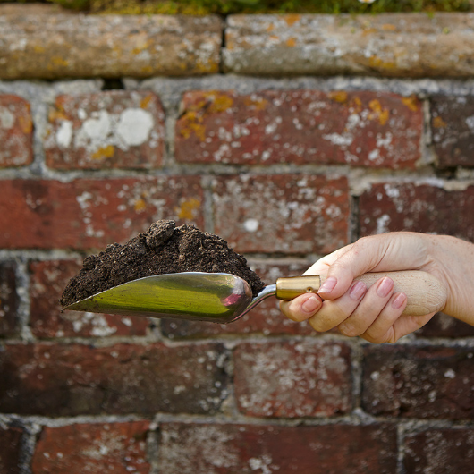 Sophie Conran stainless steel garden trowel with FSC beech wood handle and brass ferrule in presentation gift box.