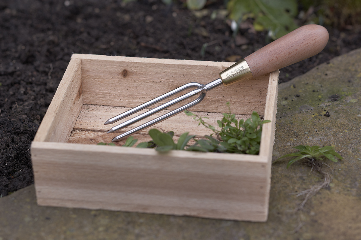 Sophie Conran stainless steel three-pronged garden weeder with FSC beech wood handle and brass ferrule.